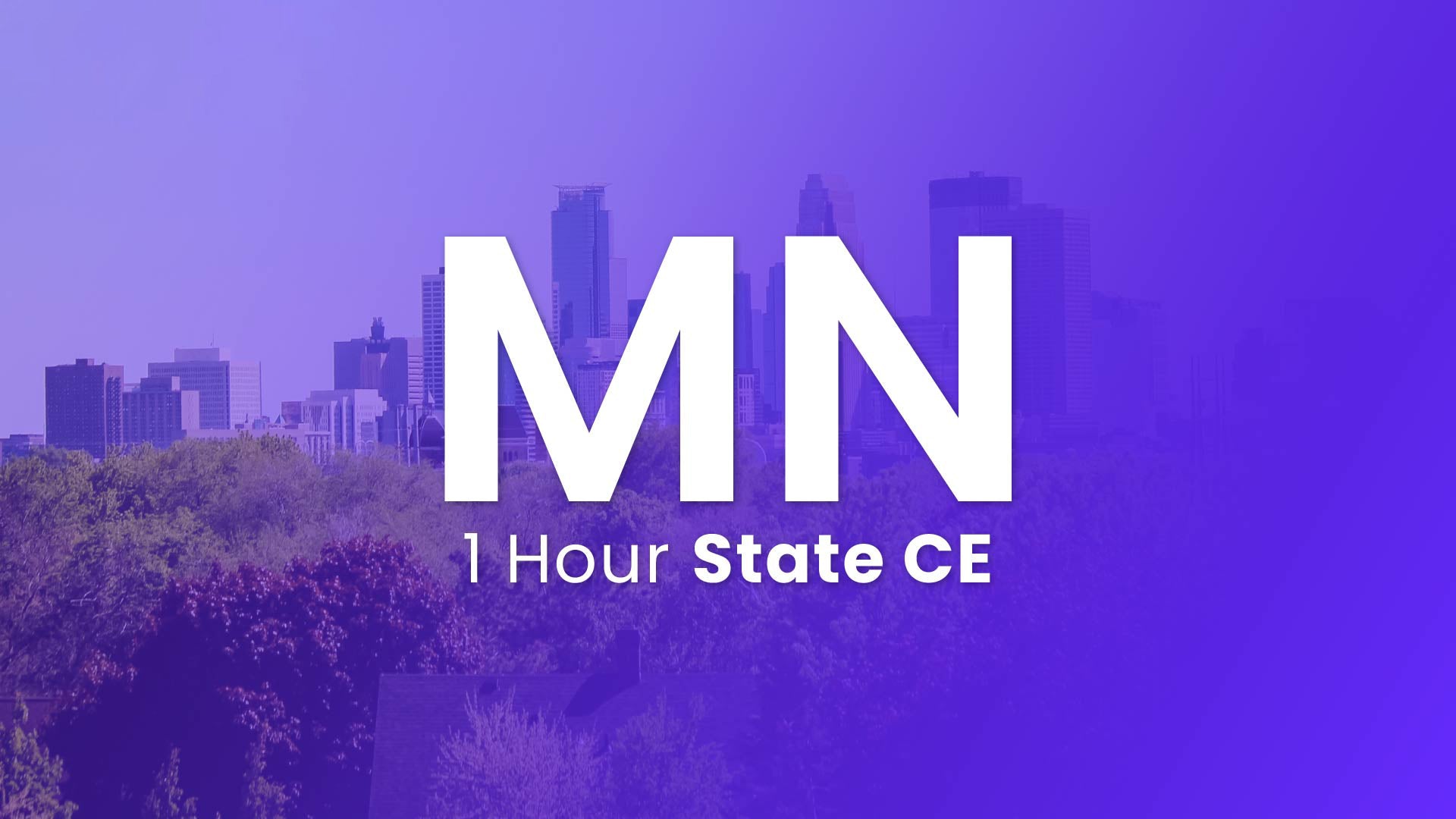 Minnesota 1 Hour Online CE 2024