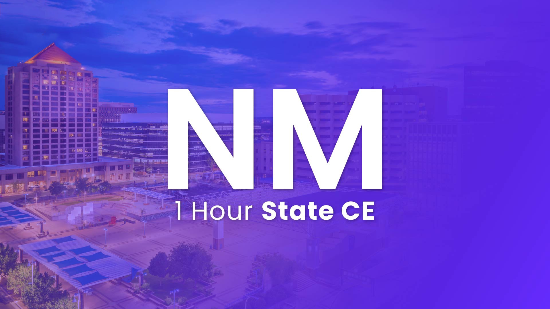 New Mexico 1 Hour Online CE 2024