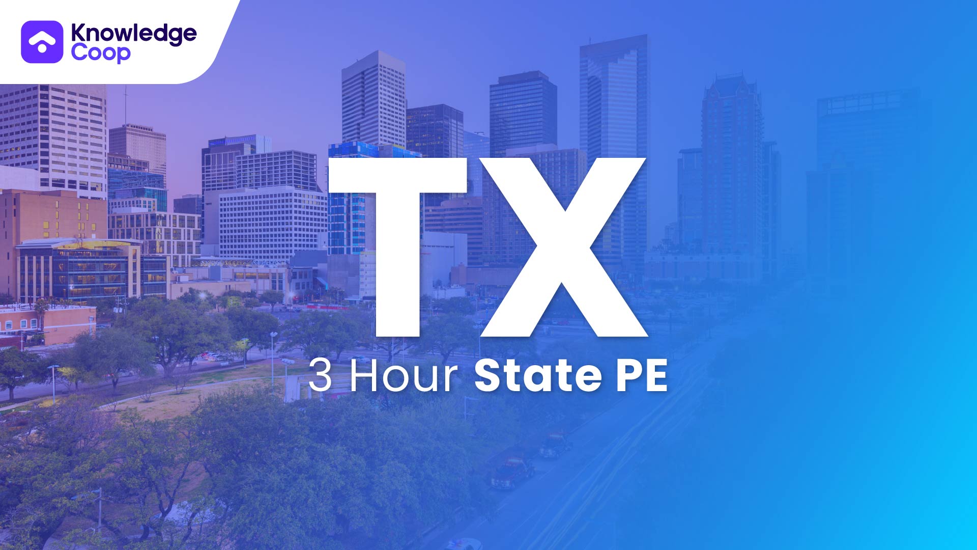 3 Hour TX-SML SAFE: State Law PE